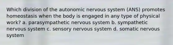 Which division of the autonomic nervous system (ANS) promotes homeostasis when the body is engaged in any type of physical work? a. parasympathetic nervous system b. sympathetic nervous system c. sensory nervous system d. somatic nervous system