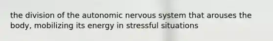 the division of the autonomic nervous system that arouses the body, mobilizing its energy in stressful situations