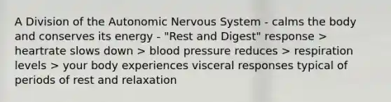 A Division of the Autonomic Nervous System - calms the body and conserves its energy - "Rest and Digest" response > heartrate slows down > blood pressure reduces > respiration levels > your body experiences visceral responses typical of periods of rest and relaxation