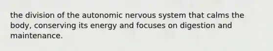 the division of the autonomic nervous system that calms the body, conserving its energy and focuses on digestion and maintenance.