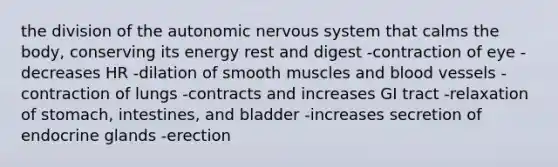 the division of the autonomic nervous system that calms the body, conserving its energy rest and digest -contraction of eye -decreases HR -dilation of smooth muscles and blood vessels -contraction of lungs -contracts and increases GI tract -relaxation of stomach, intestines, and bladder -increases secretion of endocrine glands -erection