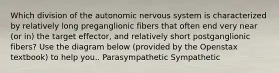 Which division of <a href='https://www.questionai.com/knowledge/kMqcwgxBsH-the-autonomic-nervous-system' class='anchor-knowledge'>the autonomic nervous system</a> is characterized by relatively long preganglionic fibers that often end very near (or in) the target effector, and relatively short postganglionic fibers? Use the diagram below (provided by the Openstax textbook) to help you.. Parasympathetic Sympathetic