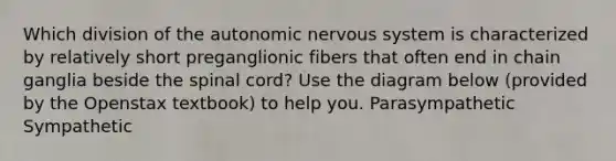 Which division of the autonomic nervous system is characterized by relatively short preganglionic fibers that often end in chain ganglia beside the spinal cord? Use the diagram below (provided by the Openstax textbook) to help you. Parasympathetic Sympathetic