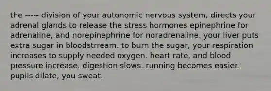 the ----- division of your autonomic nervous system, directs your adrenal glands to release the stress hormones epinephrine for adrenaline, and norepinephrine for noradrenaline. your liver puts extra sugar in bloodstrream. to burn the sugar, your respiration increases to supply needed oxygen. heart rate, and <a href='https://www.questionai.com/knowledge/kD0HacyPBr-blood-pressure' class='anchor-knowledge'>blood pressure</a> increase. digestion slows. running becomes easier. pupils dilate, you sweat.