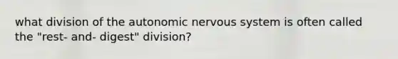 what division of the autonomic nervous system is often called the "rest- and- digest" division?