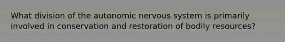 What division of the autonomic nervous system is primarily involved in conservation and restoration of bodily resources?