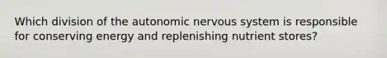 Which division of the autonomic nervous system is responsible for conserving energy and replenishing nutrient stores?