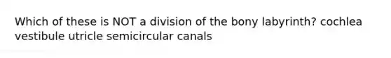 Which of these is NOT a division of the bony labyrinth? cochlea vestibule utricle semicircular canals