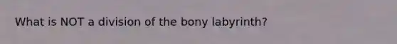 What is NOT a division of the bony labyrinth?