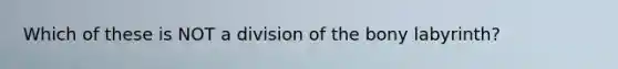 Which of these is NOT a division of the bony labyrinth?