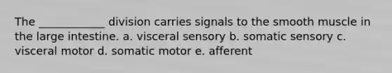 The ____________ division carries signals to the smooth muscle in the large intestine. a. visceral sensory b. somatic sensory c. visceral motor d. somatic motor e. afferent