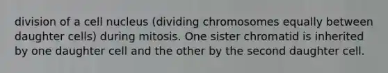 division of a cell nucleus (dividing chromosomes equally between daughter cells) during mitosis. One sister chromatid is inherited by one daughter cell and the other by the second daughter cell.