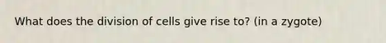 What does the division of cells give rise to? (in a zygote)