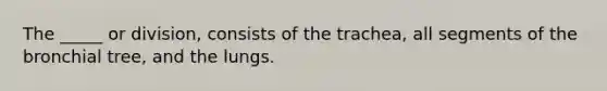 The _____ or division, consists of the trachea, all segments of the bronchial tree, and the lungs.