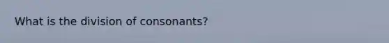 What is the division of consonants?