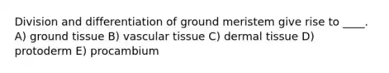 Division and differentiation of ground meristem give rise to ____. A) <a href='https://www.questionai.com/knowledge/kb0kKBaH0H-ground-tissue' class='anchor-knowledge'>ground tissue</a> B) vascular tissue C) <a href='https://www.questionai.com/knowledge/kRKdINDJId-dermal-tissue' class='anchor-knowledge'>dermal tissue</a> D) protoderm E) procambium