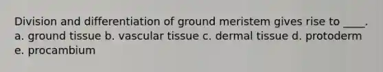 Division and differentiation of ground meristem gives rise to ____.​ a. ​<a href='https://www.questionai.com/knowledge/kb0kKBaH0H-ground-tissue' class='anchor-knowledge'>ground tissue</a> b. ​<a href='https://www.questionai.com/knowledge/k1HVFq17mo-vascular-tissue' class='anchor-knowledge'>vascular tissue</a> c. ​<a href='https://www.questionai.com/knowledge/kRKdINDJId-dermal-tissue' class='anchor-knowledge'>dermal tissue</a> d. ​protoderm e. ​procambium