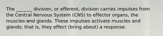 The _______ division, or efferent, division carries impulses from the Central <a href='https://www.questionai.com/knowledge/kThdVqrsqy-nervous-system' class='anchor-knowledge'>nervous system</a> (CNS) to effector organs, the muscles and glands. These impulses activate muscles and glands; that is, they effect (bring about) a response.