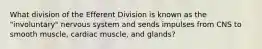 What division of the Efferent Division is known as the "involuntary" nervous system and sends impulses from CNS to smooth muscle, cardiac muscle, and glands?