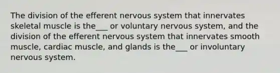 The division of the efferent nervous system that innervates skeletal muscle is the___ or voluntary nervous system, and the division of the efferent nervous system that innervates smooth muscle, cardiac muscle, and glands is the___ or involuntary nervous system.