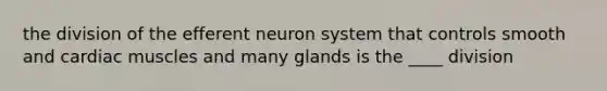 the division of the efferent neuron system that controls smooth and cardiac muscles and many glands is the ____ division