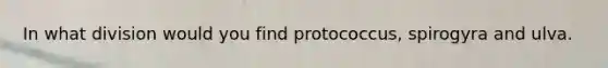 In what division would you find protococcus, spirogyra and ulva.