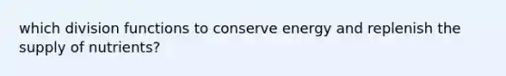 which division functions to conserve energy and replenish the supply of nutrients?