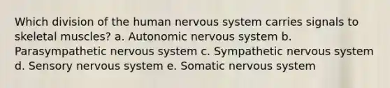 Which division of the human nervous system carries signals to skeletal muscles? a. Autonomic nervous system b. Parasympathetic nervous system c. Sympathetic nervous system d. Sensory nervous system e. Somatic nervous system