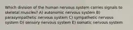 Which division of the human nervous system carries signals to skeletal muscles? A) autonomic nervous system B) parasympathetic nervous system C) sympathetic nervous system D) sensory nervous system E) somatic nervous system