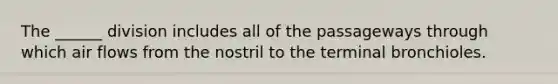 The ______ division includes all of the passageways through which air flows from the nostril to the terminal bronchioles.