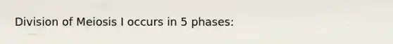 Division of Meiosis I occurs in 5 phases: