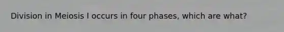 Division in Meiosis I occurs in four phases, which are what?