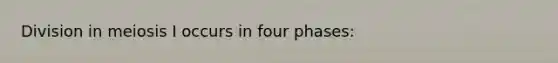 Division in meiosis I occurs in four phases: