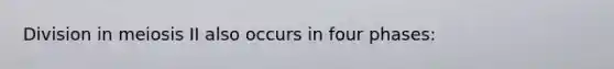 Division in meiosis II also occurs in four phases:
