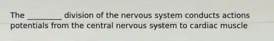 The _________ division of the nervous system conducts actions potentials from the central nervous system to cardiac muscle