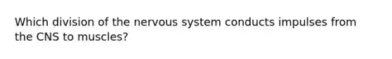 Which division of the nervous system conducts impulses from the CNS to muscles?