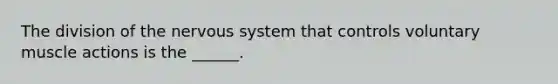 The division of the nervous system that controls voluntary muscle actions is the ______.