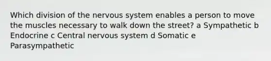 Which division of the nervous system enables a person to move the muscles necessary to walk down the street? a Sympathetic b Endocrine c Central nervous system d Somatic e Parasympathetic