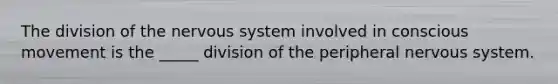 The division of the <a href='https://www.questionai.com/knowledge/kThdVqrsqy-nervous-system' class='anchor-knowledge'>nervous system</a> involved in conscious movement is the _____ division of the peripheral nervous system.