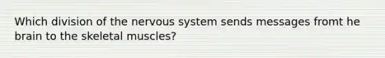 Which division of the nervous system sends messages fromt he brain to the skeletal muscles?