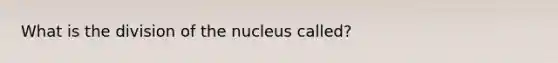 What is the division of the nucleus called?