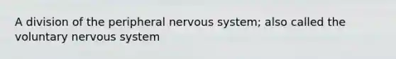 A division of the peripheral nervous system; also called the voluntary nervous system