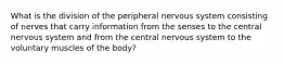 What is the division of the peripheral nervous system consisting of nerves that carry information from the senses to the central nervous system and from the central nervous system to the voluntary muscles of the body?