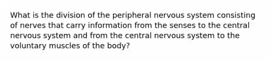 What is the division of the peripheral nervous system consisting of nerves that carry information from the senses to the central nervous system and from the central nervous system to the voluntary muscles of the body?