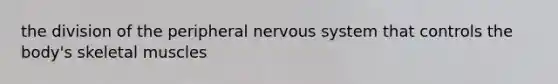 the division of the peripheral nervous system that controls the body's skeletal muscles