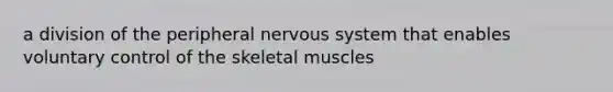 a division of the peripheral <a href='https://www.questionai.com/knowledge/kThdVqrsqy-nervous-system' class='anchor-knowledge'>nervous system</a> that enables voluntary control of the skeletal muscles