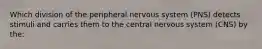 Which division of the peripheral nervous system (PNS) detects stimuli and carries them to the central nervous system (CNS) by the: