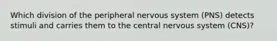 Which division of the peripheral <a href='https://www.questionai.com/knowledge/kThdVqrsqy-nervous-system' class='anchor-knowledge'>nervous system</a> (PNS) detects stimuli and carries them to the central nervous system (CNS)?