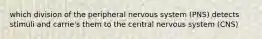 which division of the peripheral nervous system (PNS) detects stimuli and carrie's them to the central nervous system (CNS)