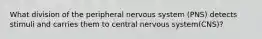 What division of the peripheral nervous system (PNS) detects stimuli and carries them to central nervous system(CNS)?